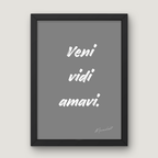 Veni vidi amavi